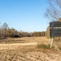 386 Acres in Carroll County in Greenwood MS images 3