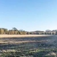 386 Acres in Carroll County in Greenwood MS images 4
