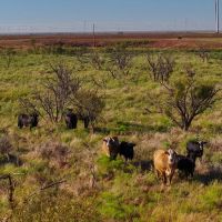 Rocky Creek Ranch images 4