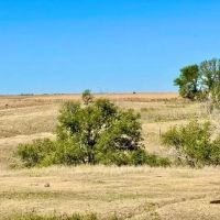 1 220-Acre Farm Ranch in Frontier County NE images 3