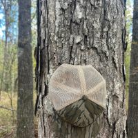 51.805 Acres in Copiah County MS images 3