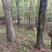 51.805 Acres in Copiah County MS images 4