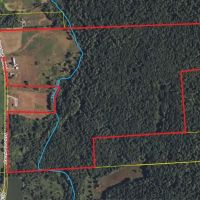 151 acres Farmhouse with Barns Fenced Pastures Woods and Trout Stream in Greene NY 622 County Rd 3A images 5