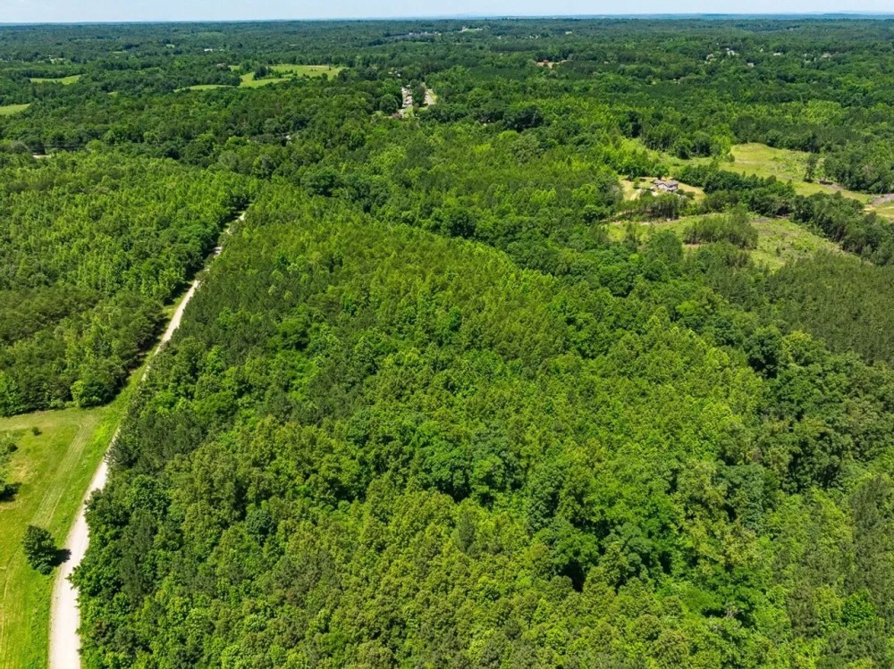 - 14.63-acre Multiuse Lot for Sale in Caswell County NC featured image
