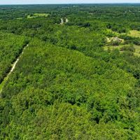 - 14.63-acre Multiuse Lot for Sale in Caswell County NC