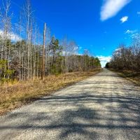 - 14.63-acre Multiuse Lot for Sale in Caswell County NC images 2