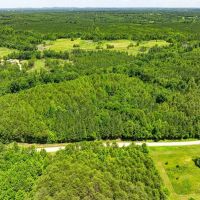 - 14.63-acre Multiuse Lot for Sale in Caswell County NC images 4