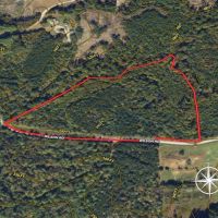 - 14.63-acre Multiuse Lot for Sale in Caswell County NC images 5