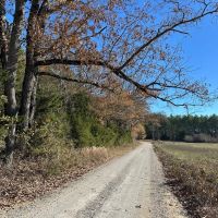 Hatton Homesite Tract 3B images 2