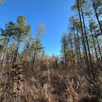 Hatton Homesite Tract 3B images 3
