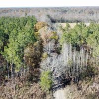 Hatton Homesite Tract 3B images 5