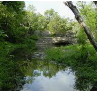 500 cres Fish Hunting Land Crawford State Park in Crawford, KS images 3