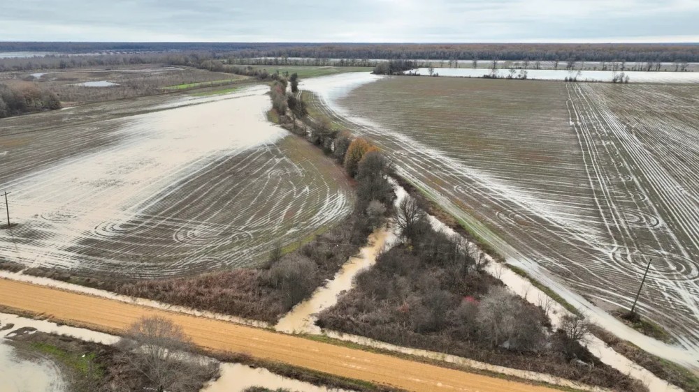 Quitman County - Denton Road Farm featured image