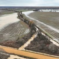 Quitman County - Denton Road Farm