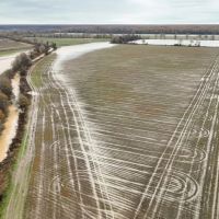 Quitman County - Denton Road Farm images 2