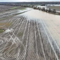 Quitman County - Denton Road Farm images 3