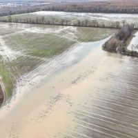 Quitman County - Denton Road Farm images 5
