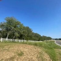 Mariposa Farm Bexar County Texas images 2