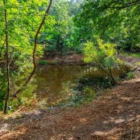 15 - Acres Fenced Back Yard Shop Pond 3 Bed 2 Bath Batesville Arkansas images 4