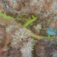713 off Sugar Tree Branch Rd images 2