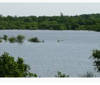 1,785 acres Turkey Hunting Land Eisenhower State Park in Osage, KS images 4
