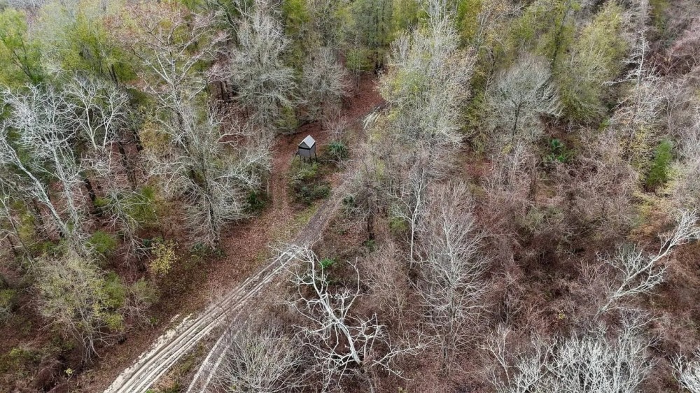 Tensas River Hunting Property featured image