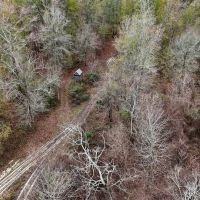 Tensas River Hunting Property