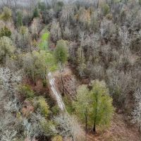 Tensas River Hunting Property images 3