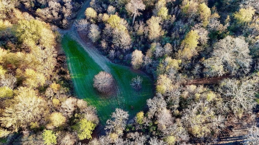 Duck and Deer Hunting Property for Sale in Grant Parish LA featured image