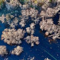 Duck and Deer Hunting Property for Sale in Grant Parish LA images 4