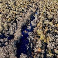 Duck and Deer Hunting Property for Sale in Grant Parish LA images 5