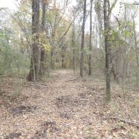 50 ACRES OF PRIME RECREATTIONAL PROPERTY images 3
