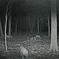 TBD County Road 3115 N Clarksville TX 75426 images 2