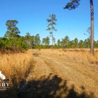 Mims Road Farm 1 images 3