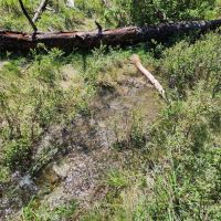 Yellowstone River Ranch - Lot 201 images 2