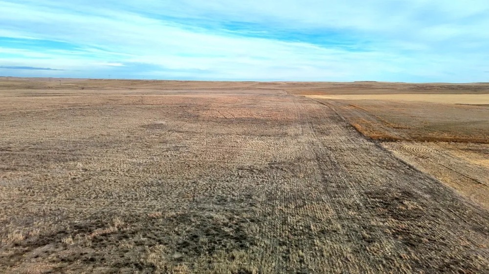 Kimball County Combination Quarter with Farmland Native Grass featured image