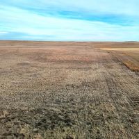 Kimball County Combination Quarter with Farmland Native Grass
