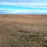 Kimball County Combination Quarter with Farmland Native Grass images 2