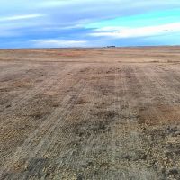 Kimball County Combination Quarter with Farmland Native Grass images 3