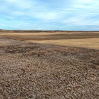 Kimball County Combination Quarter with Farmland Native Grass images 4