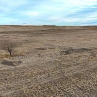 Kimball County Combination Quarter with Farmland Native Grass images 5