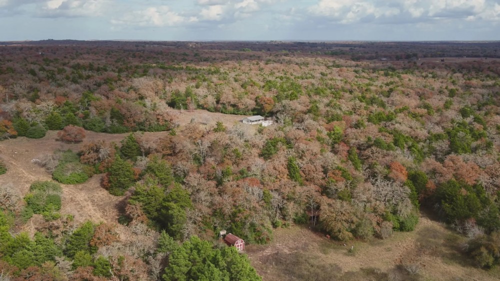 147.76 Acres in Milam County featured image