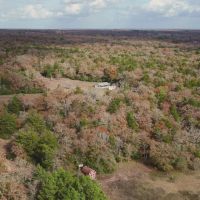 147.76 Acres in Milam County