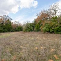 147.76 Acres in Milam County images 2