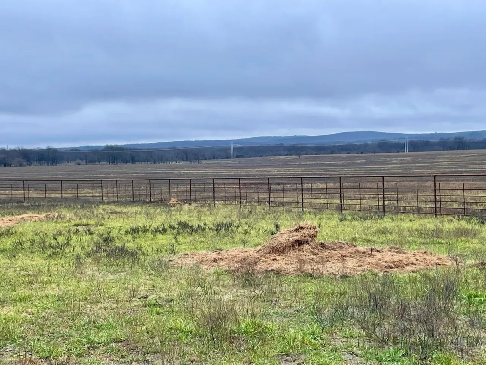 Pasture Ground featured image