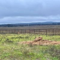 Pasture Ground