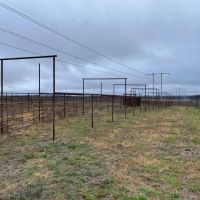 Pasture Ground images 4