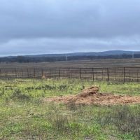 Pasture Ground images 5