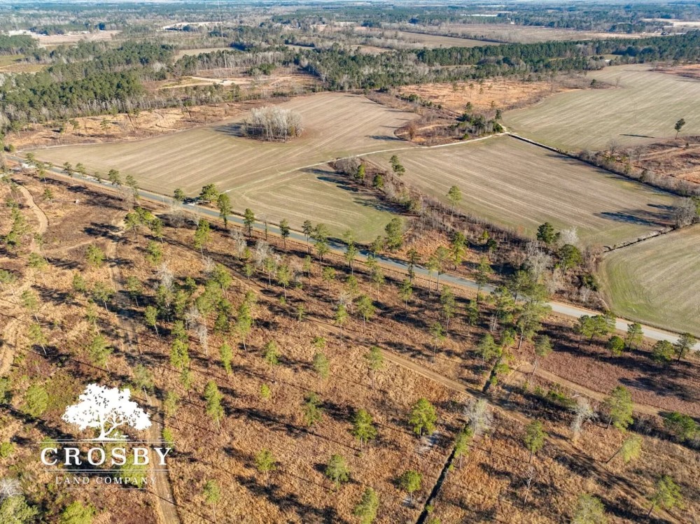 Mims Road Farm 2 featured image