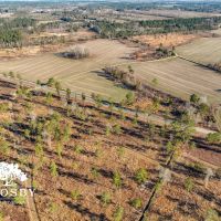 Mims Road Farm 2